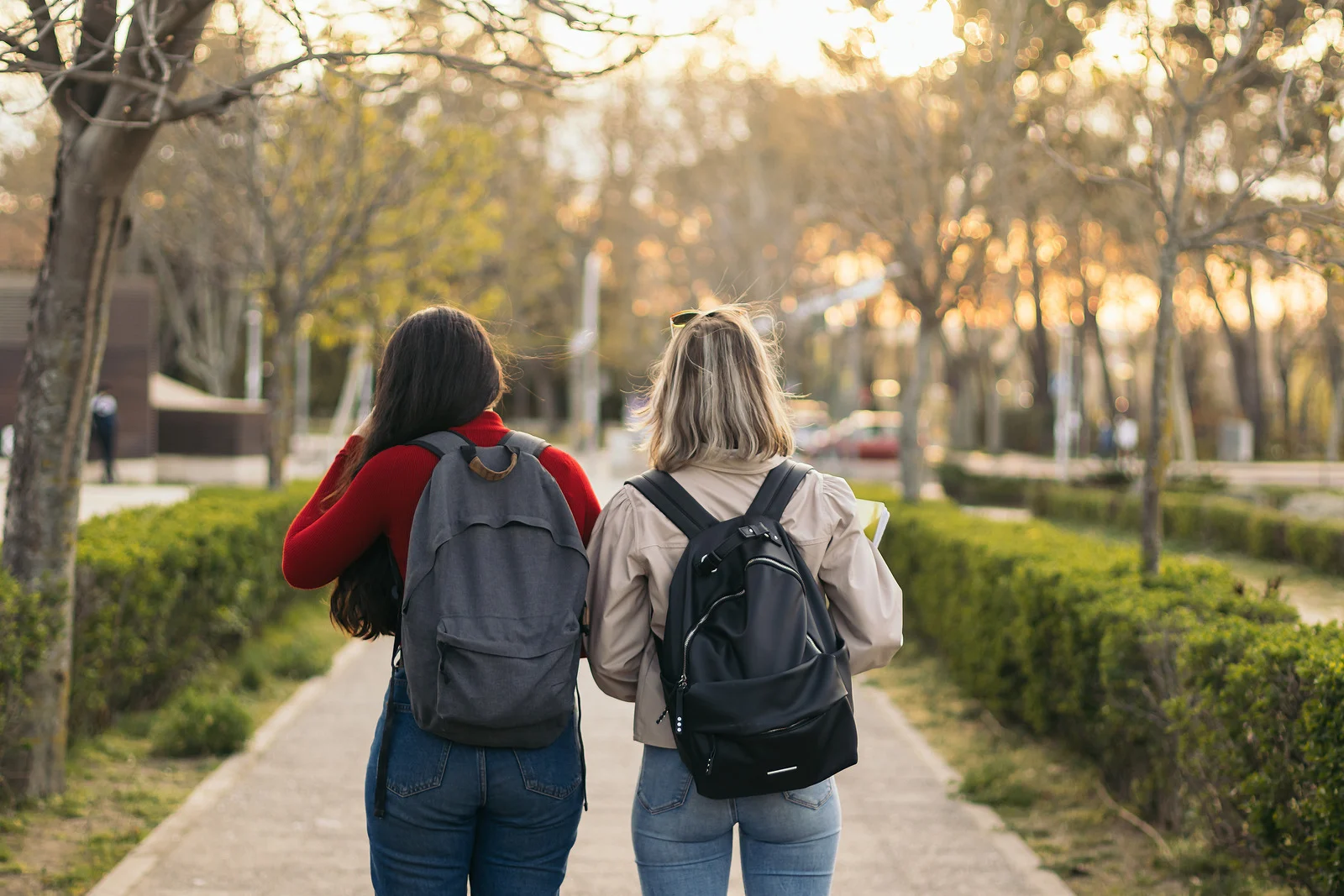 Students walking through a campus